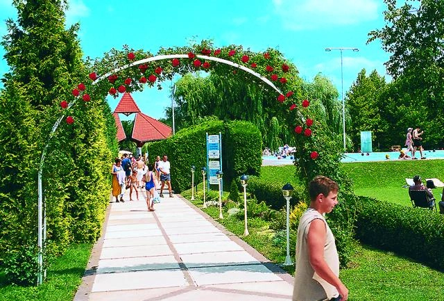 zobacz camping - zdjęcie 10