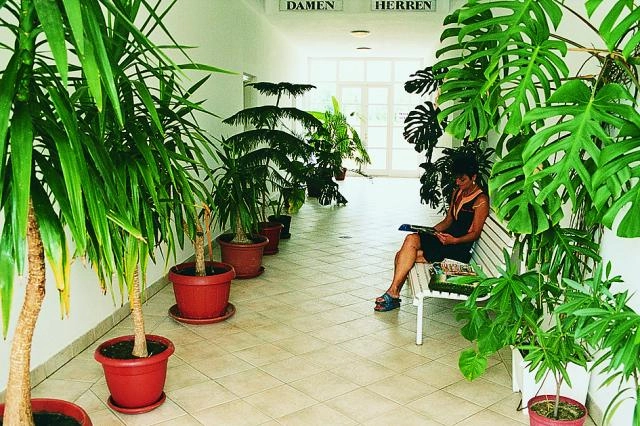 Castrum Thermal Camping - zdjęcie 4