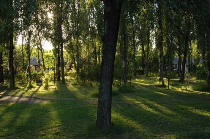 zobacz camping - zdjęcie 6