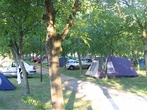 zobacz camping - zdjęcie 8