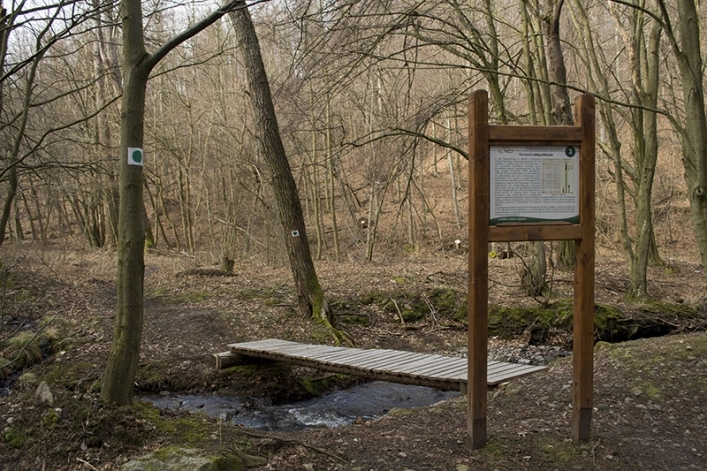 zobacz camping - zdjęcie 15