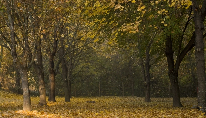 zobacz camping - zdjęcie 12