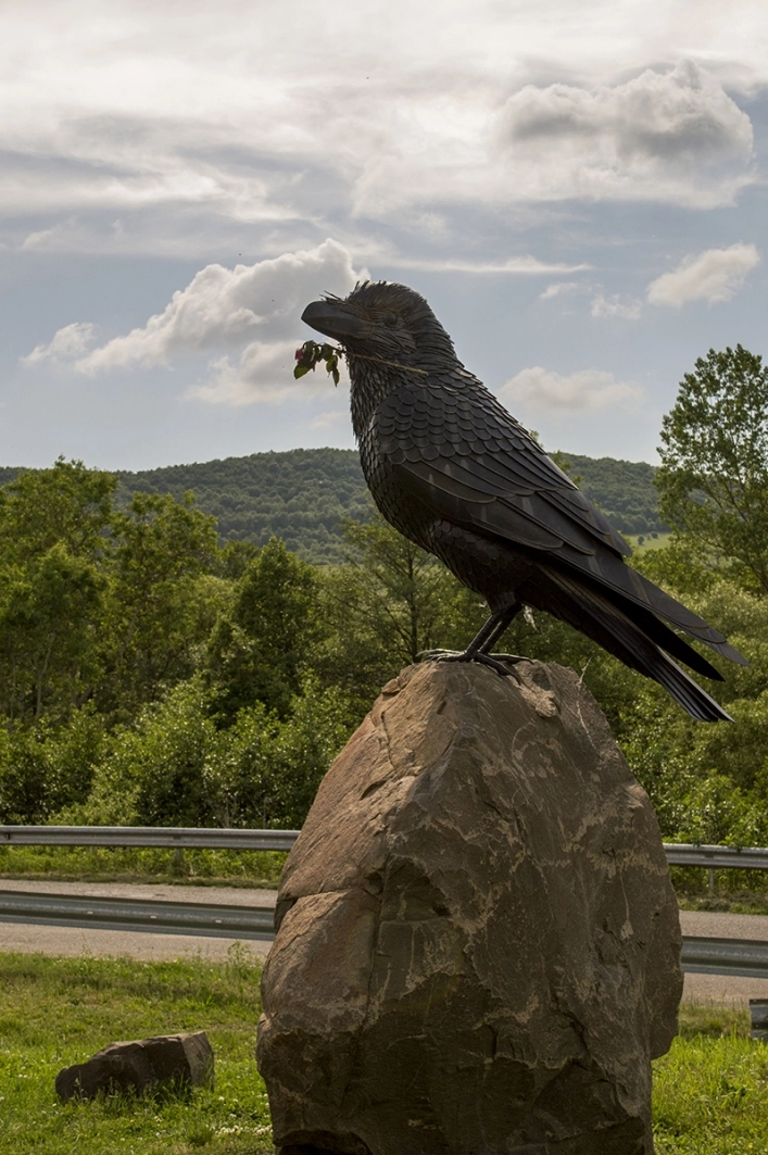 zobacz camping - zdjęcie 9