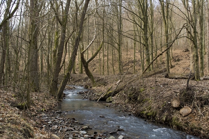 Diósjenői Camping és Faházak - zdjęcie 4