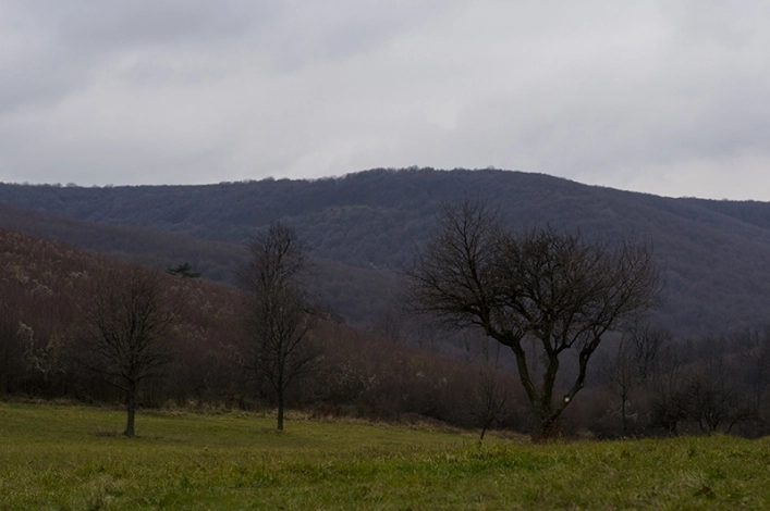 zobacz camping - zdjęcie 2