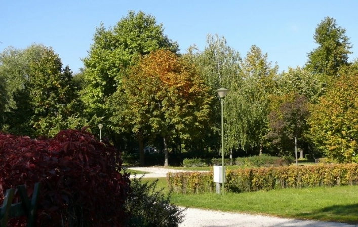 Dömös Camping - zdjęcie 1