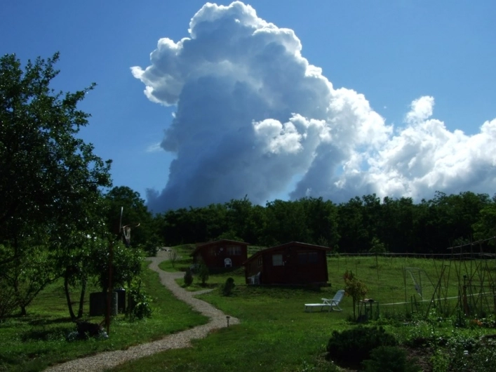 zobacz camping - zdjęcie 9