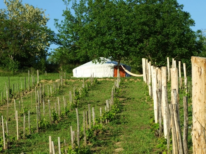 zobacz camping - zdjęcie 4