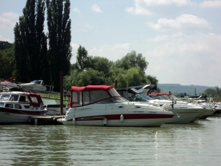 zobacz camping - zdjęcie 7