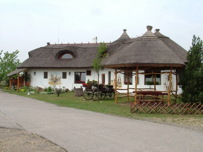 zobacz camping - zdjęcie 11