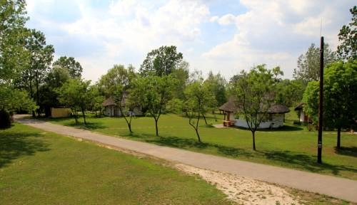 zobacz camping - zdjęcie 8
