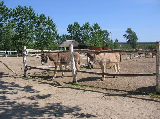 zobacz camping - zdjęcie 6