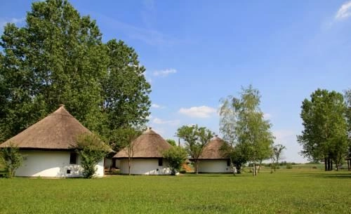 Galopp Major - zdjęcie 1