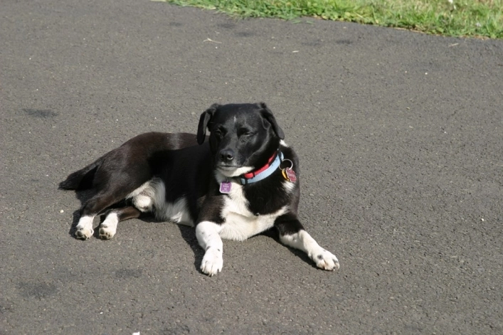 zobacz camping - zdjęcie 19