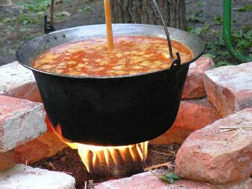 zobacz camping - zdjęcie 14