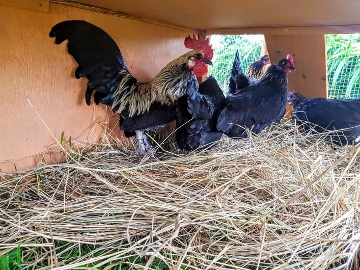 zobacz camping - zdjęcie 15