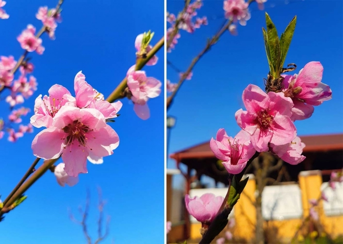 zobacz camping - zdjęcie 10