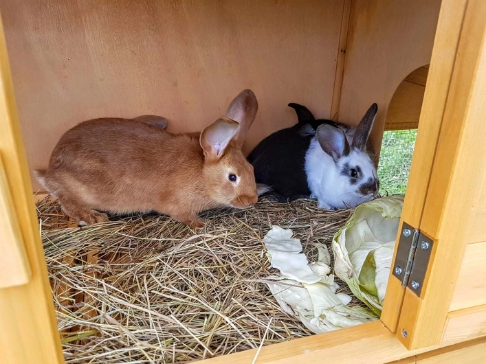 zobacz camping - zdjęcie 7