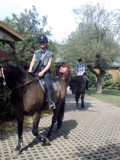 zobacz camping - zdjęcie 1