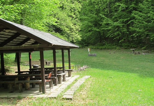 zobacz camping - zdjęcie 5