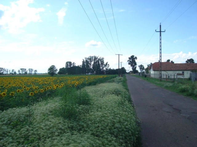 Hongarije Poesta Mini-Camping - zdjęcie 3