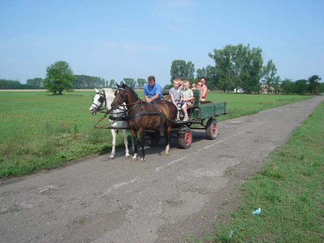 Hongarije Poesta Mini-Camping - zdjęcie 1