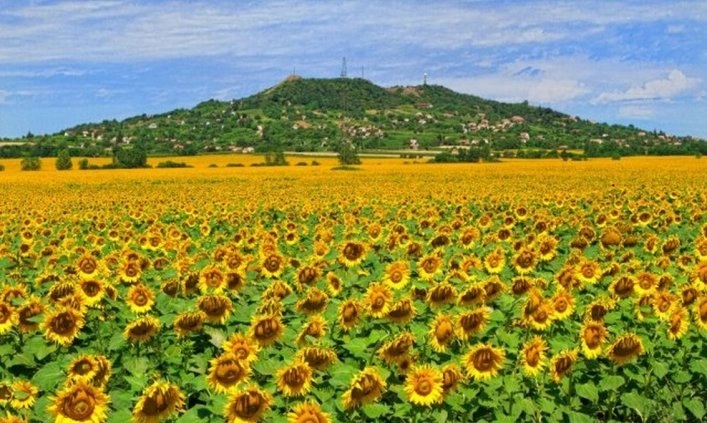 zobacz camping - zdjęcie 7