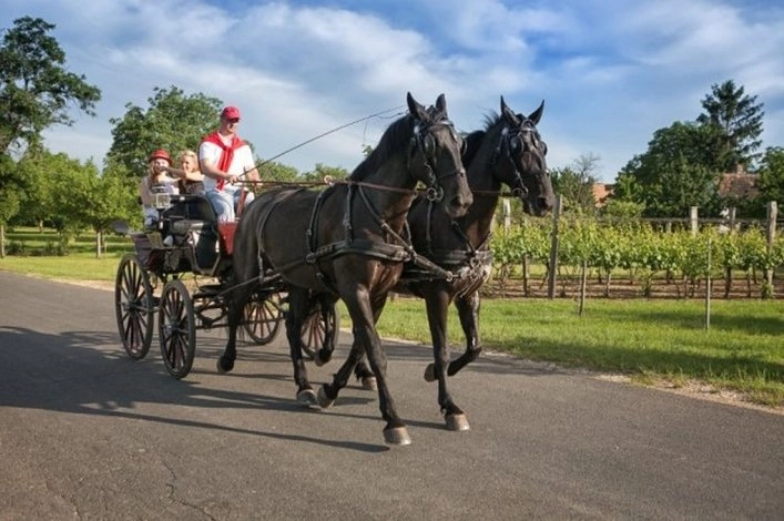JUFA Vulkán Fürdő Resort Kemping**** - zdjęcie 4
