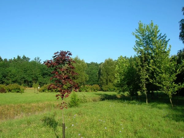 zobacz camping - zdjęcie 13