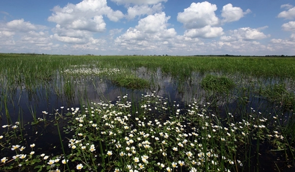 zobacz camping - zdjęcie 10