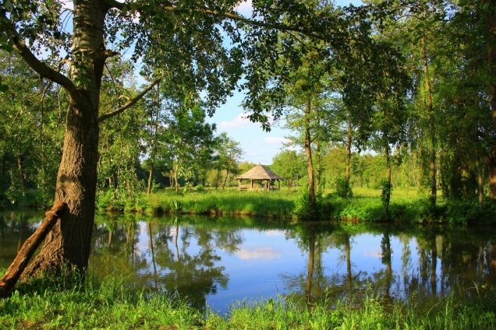 zobacz camping - zdjęcie 9