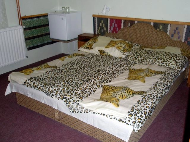 zobacz camping - zdjęcie 11