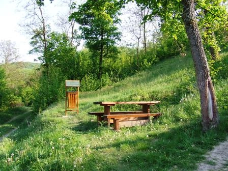 zobacz camping - zdjęcie 7