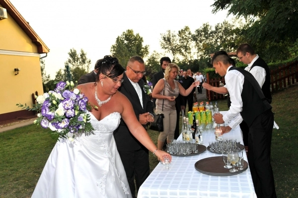 zobacz camping - zdjęcie 9