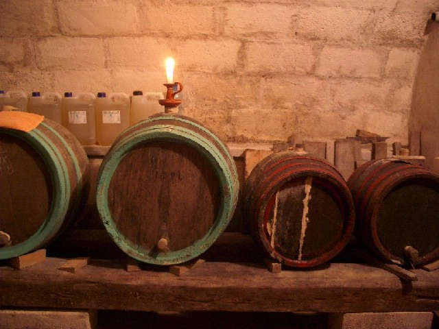 zobacz camping - zdjęcie 9