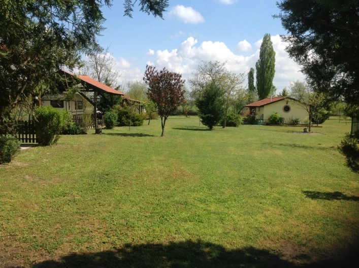 zobacz camping - zdjęcie 3