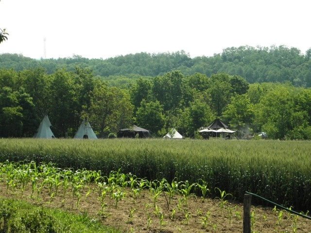 zobacz camping - zdjęcie 13