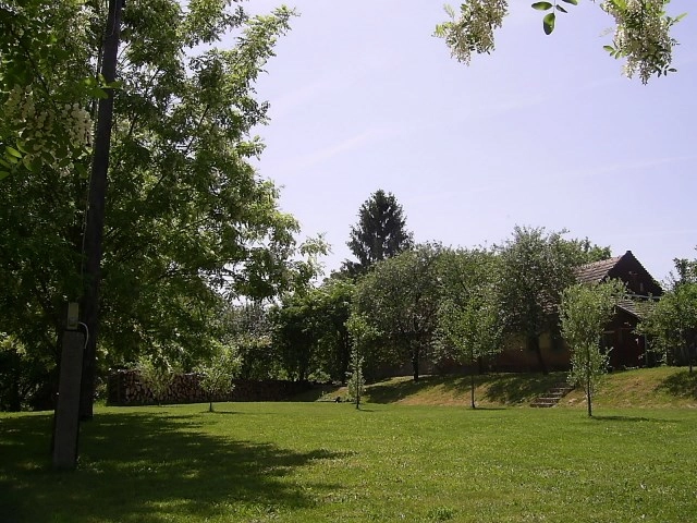 zobacz camping - zdjęcie 11