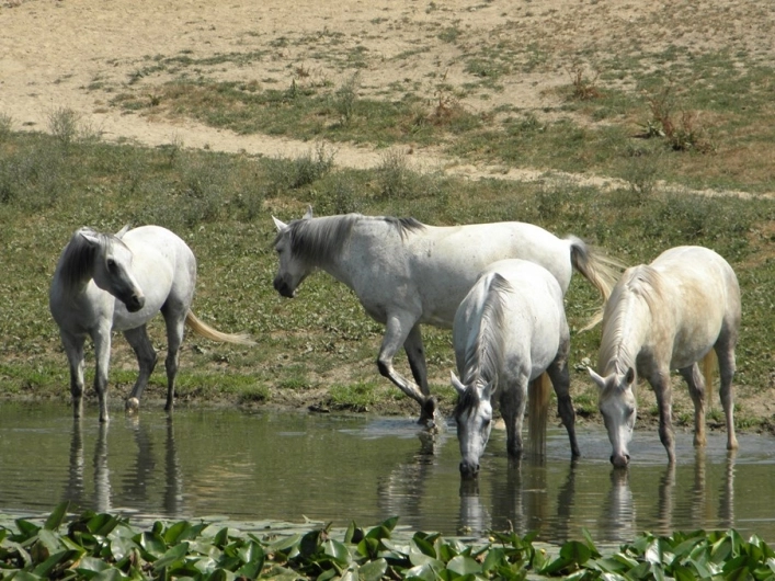 zobacz camping - zdjęcie 5