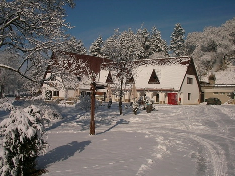zobacz camping - zdjęcie 9