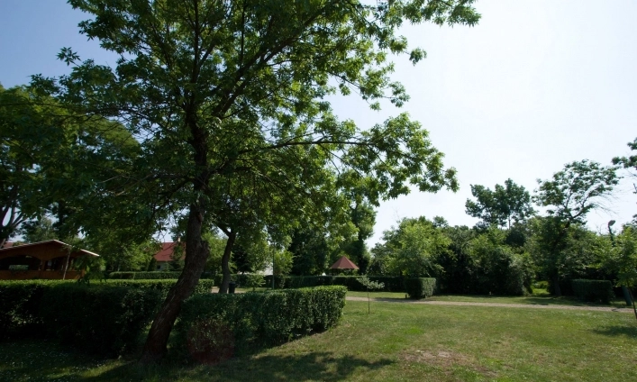 zobacz camping - zdjęcie 28