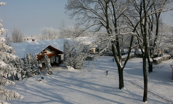 zobacz camping - zdjęcie 9