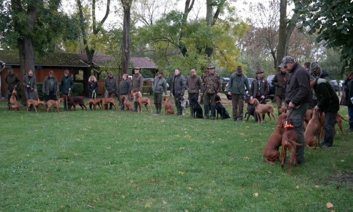 zobacz camping - zdjęcie 8