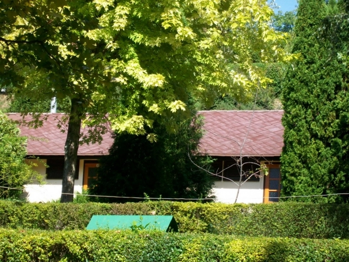 zobacz camping - zdjęcie 22