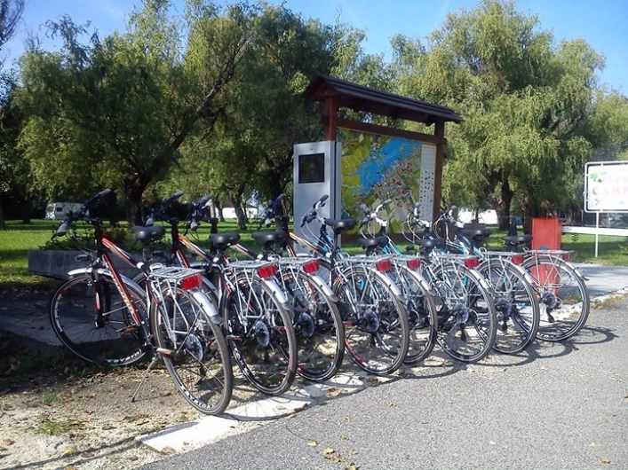 zobacz camping - zdjęcie 11