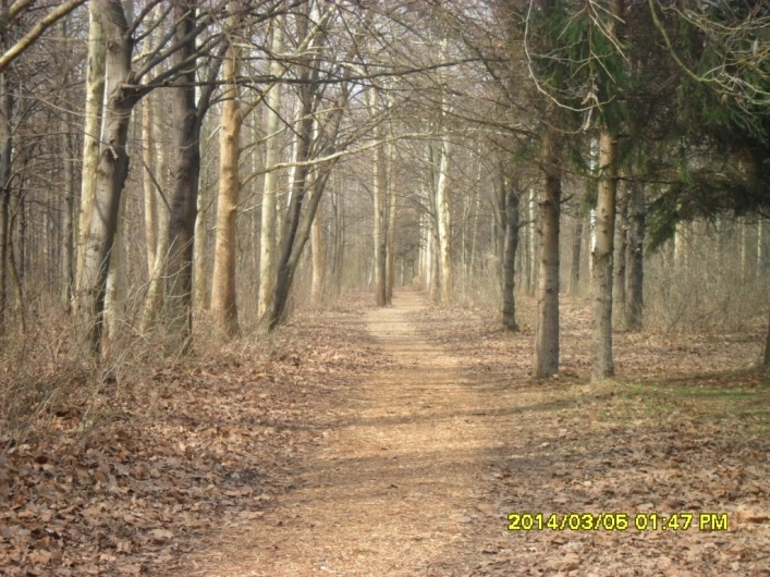 Park Strand Kemping és Túrafalu Agárd - zdjęcie 1