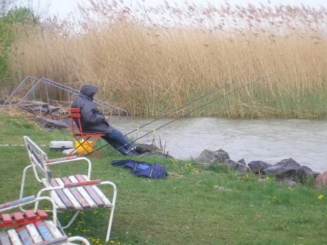 zobacz camping - zdjęcie 14