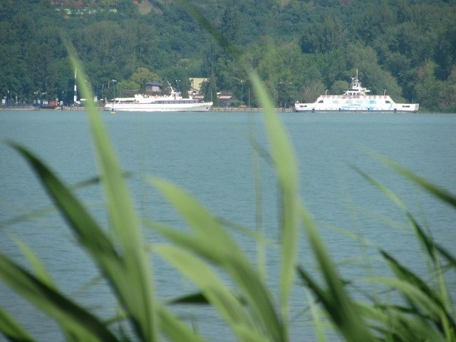 Rév Camping - zdjęcie 1