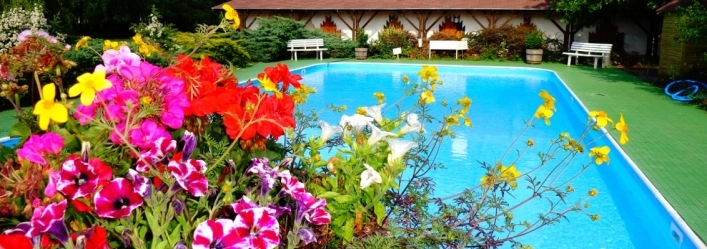 zobacz camping - zdjęcie 15