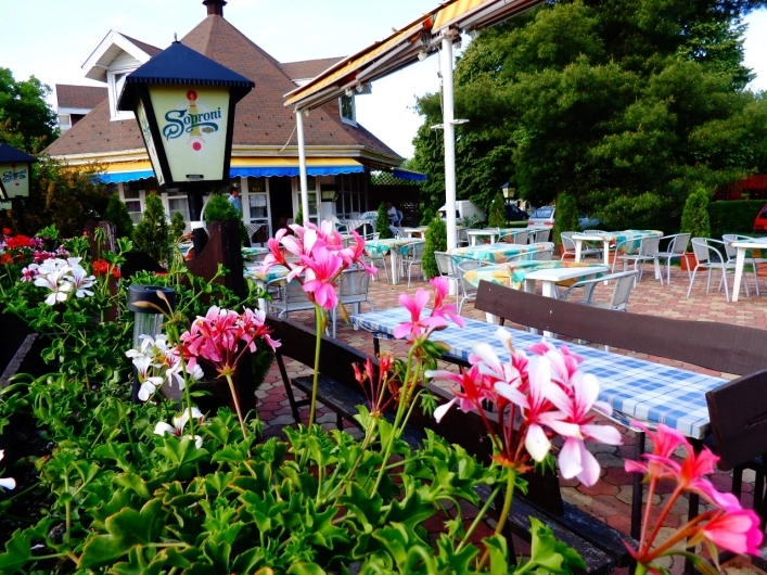 zobacz camping - zdjęcie 12